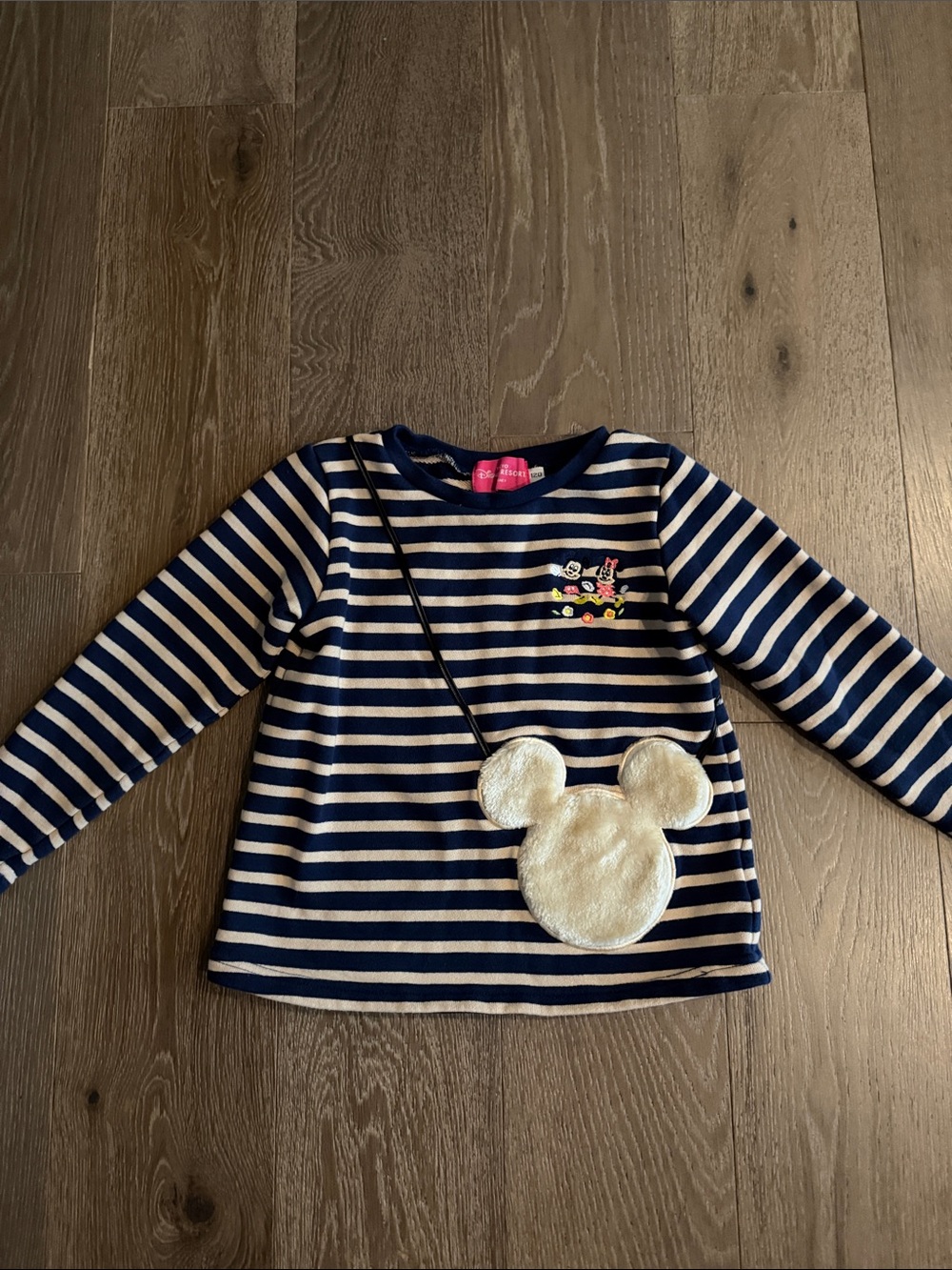 Girls Disney Tokyo Resort striped Longsleeve shirt. Size:120 (5-6) Gently Used.